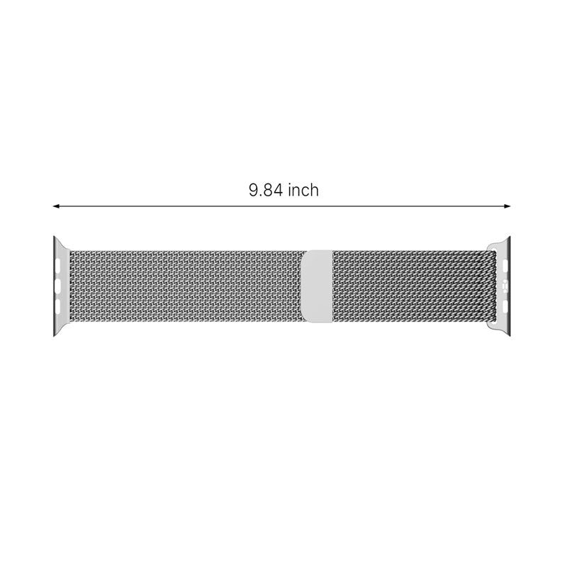 echelon Ironclad Stainless Steel Loop for Apple Watch Series 9 45mm/Watch Series 10 46mm / Watch SE (2022) 44mm - Silver, Apple Watch Accessories