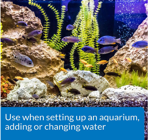 API Tap Water Conditioner Detoxifies Heavy Metals and Dechlorinates Aquarium Water [Aquarium Supplies] 64 oz