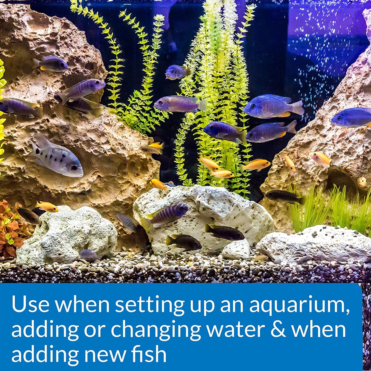 API Stress Coat + Fish and Tap Water Conditioner [Aquarium Supplies] 12 oz (12 x 1 oz)