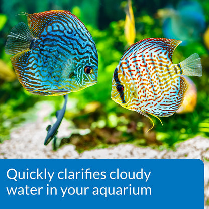 API Accu-Clear Clears Cloudy Aquarium Water [Aquarium Supplies for Aquarium] 4 oz
