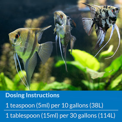 API Stress Coat + Fish and Tap Water Conditioner [Aquarium Supplies] 8 oz