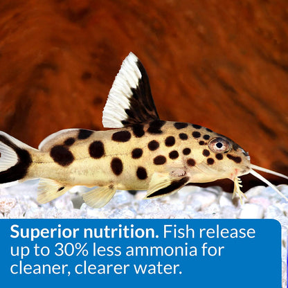 API Bottom Feeder Shrimp Pellets Sinking Pellets Fish Food [Aquarium Supplies for Aquarium] 1.5 oz