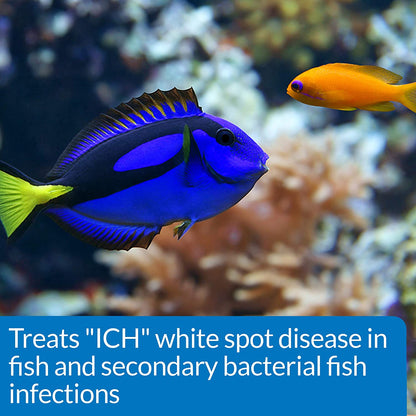 API Super Ick Cure Treats White Spot Disease [Aquarium Supplies] 10.2 oz (6 x 1.7 oz)