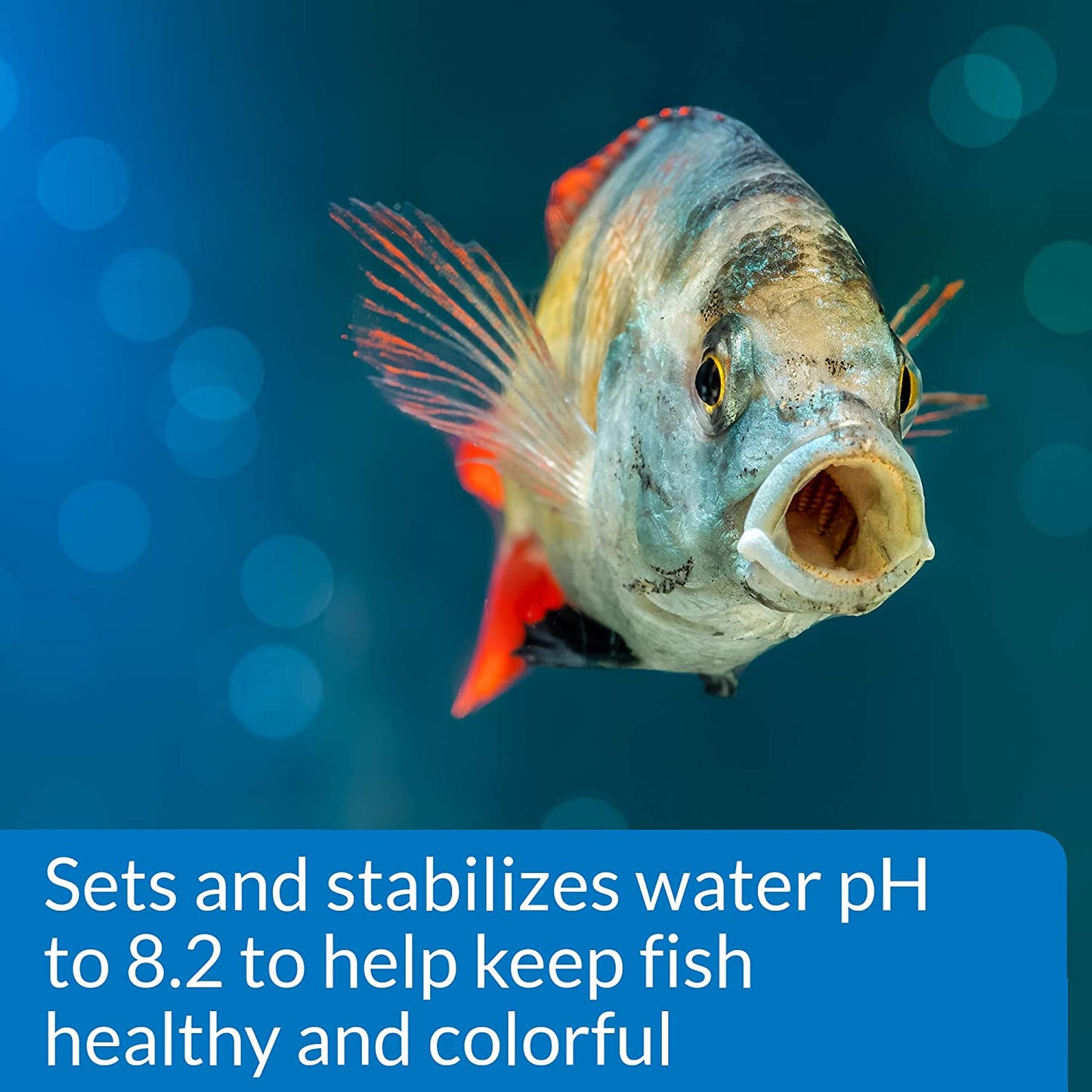 API Proper pH Sets and Stabilizes Freshwater Aquariums [Aquarium Supplies for Aquarium] pH 8.2 - 1 count