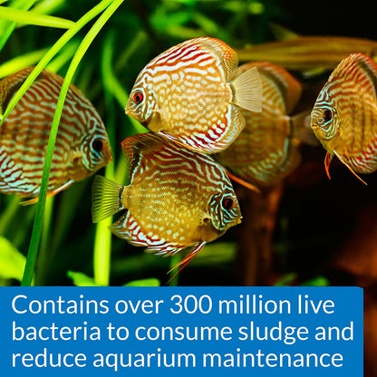 API Stress Zyme Plus Bio Filtration Booster [Aquarium Supplies] 64 oz