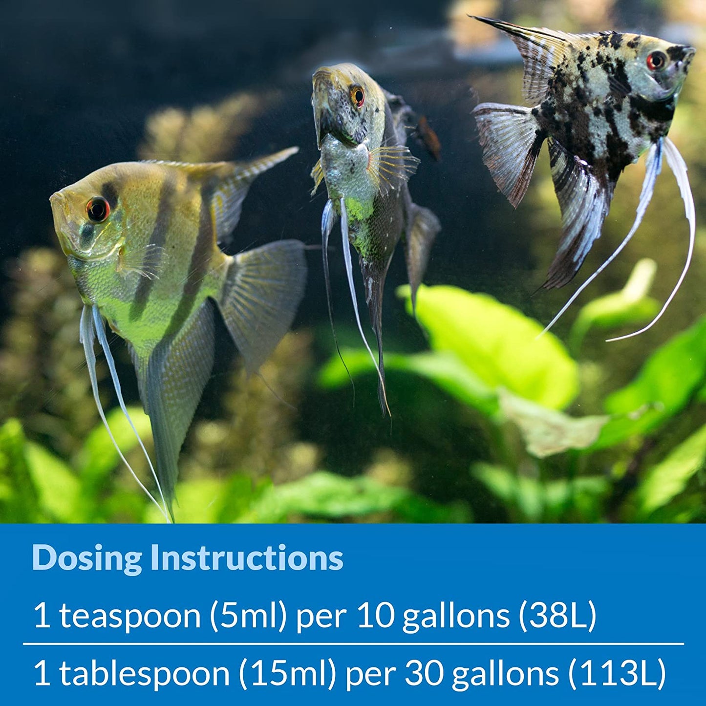 API Stress Zyme Plus Bio Filtration Booster [Aquarium Supplies] 128 oz (2 x 64 oz)