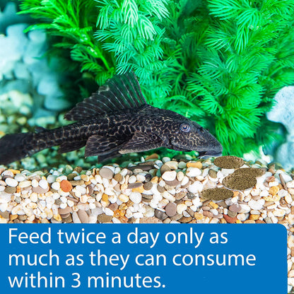 API Algae Eater Sinking Wafers Fish Food [Aquarium Supplies for Aquarium] 6.4 oz