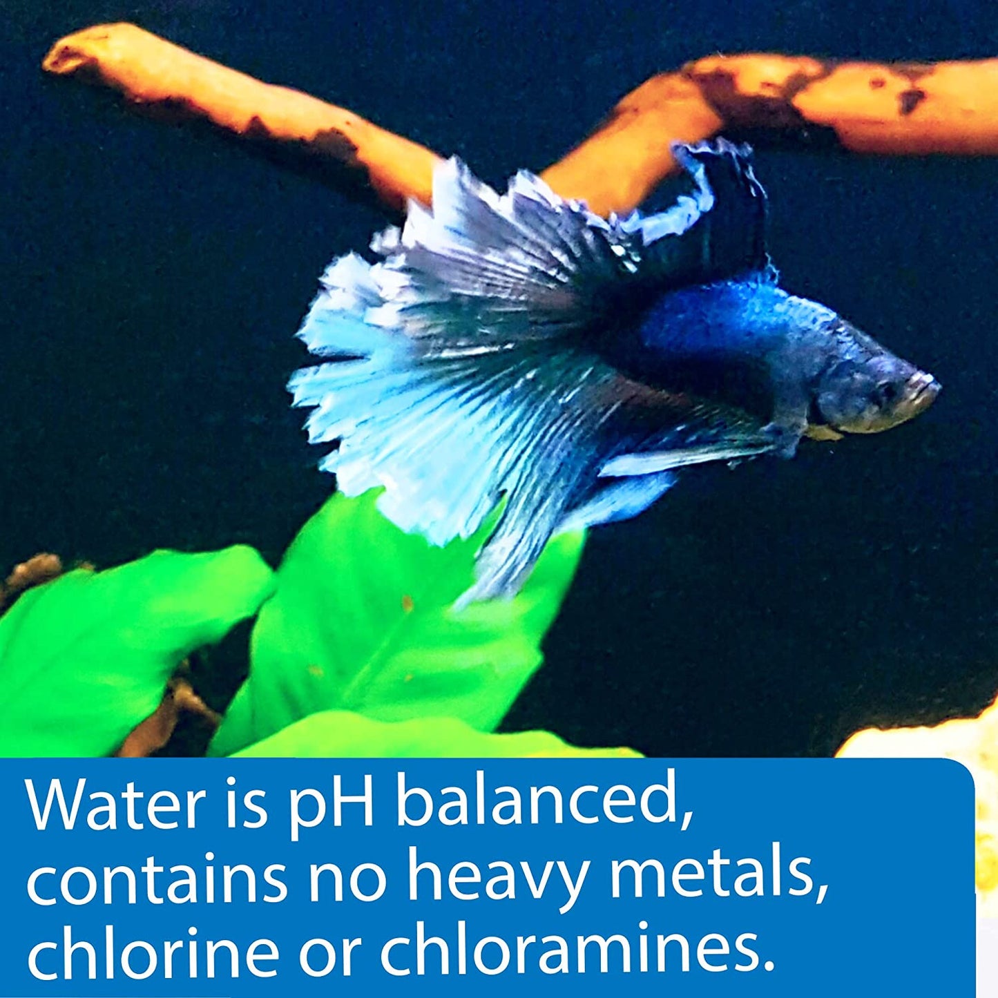 API Betta Water Add Fish Instantly [Aquarium Supplies for Aquarium] 31 oz