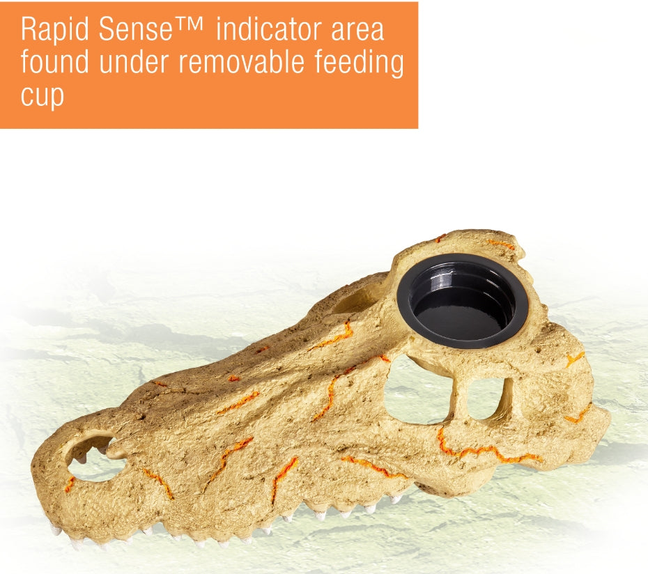 Zilla Rapid Sense Decor Crocodile Skull [Reptile Supplies] Large - 1 count
