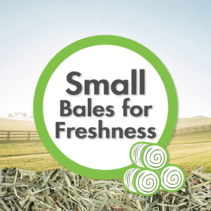 Vitakraft Orchard Grass Soft Stemmed Grass Hay [Small Pet Supplies] 28 oz