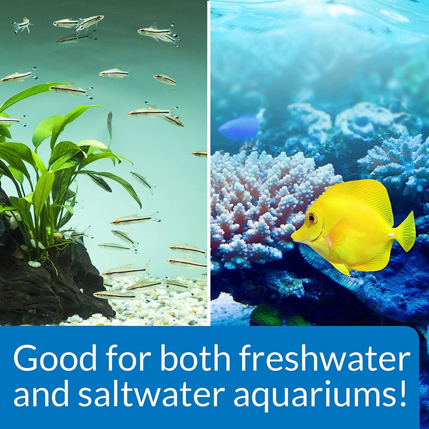 API Stress Zyme Plus Bio Filtration Booster [Aquarium Supplies] 2 gallon (2 x 1 gal)